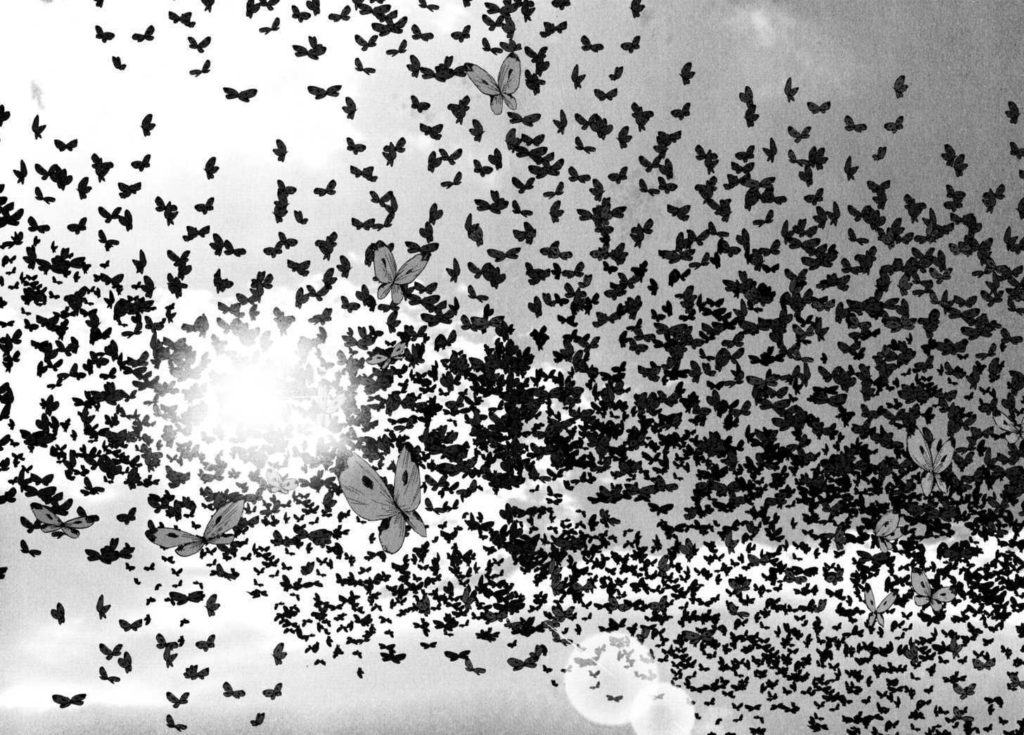 96d746823e25f44f3446dba4f8005a9e