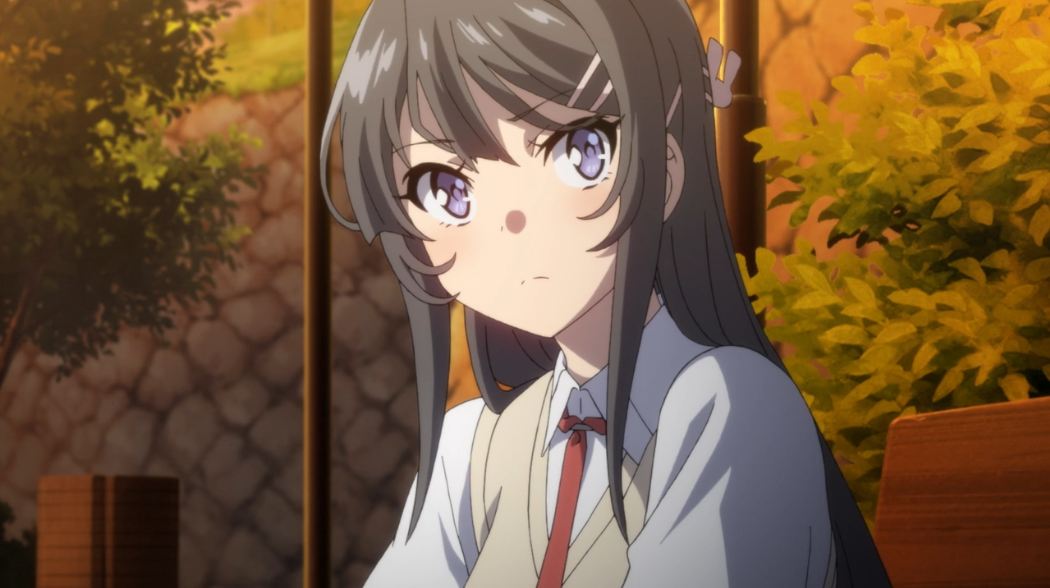 Seishun Buta Yarou wa Bunny Girl Senpai no Yume wo Minai on Tumblr