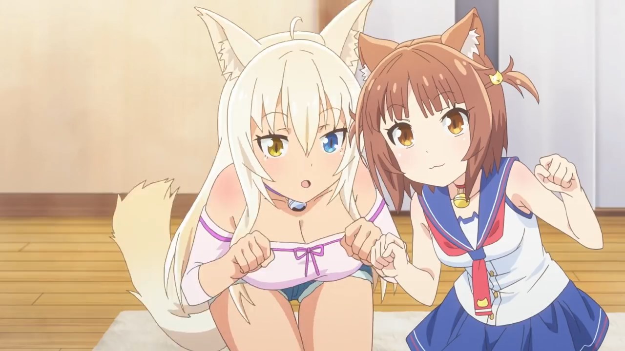 ネコぱら Pv アニメまもにゃくスタート篇 Mp4 Snapshot 01 23 19 11 29 13 45 27 Intoxianime