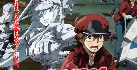 Recomendação: Hataraku Saibou (Cells At Work)