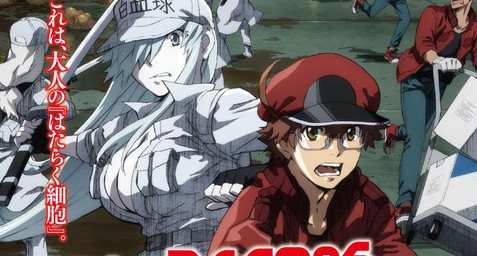 Cells at Work!  2ª temporada do anime ganha pôster e previsão de estreia