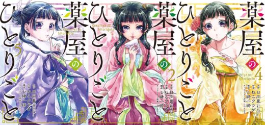 Kusuriya no Hitorigoto – Mangá premiado tem registro vazado sobre possível  anime - IntoxiAnime