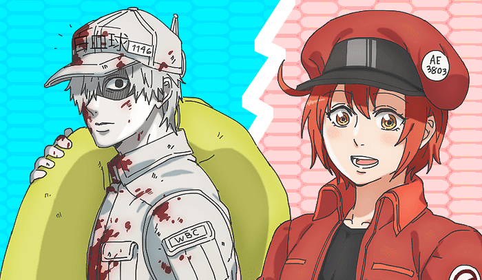 Assistir Hataraku Saibou!! 2 Episodio 1 Online