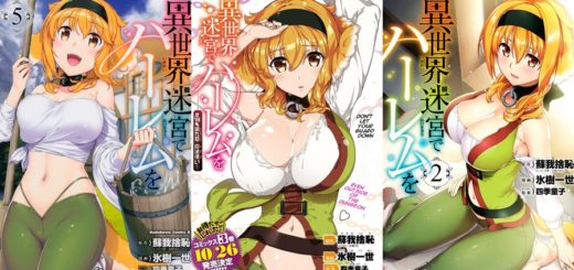 Arquivos Isekai Meikyuu de Harem wo - IntoxiAnime