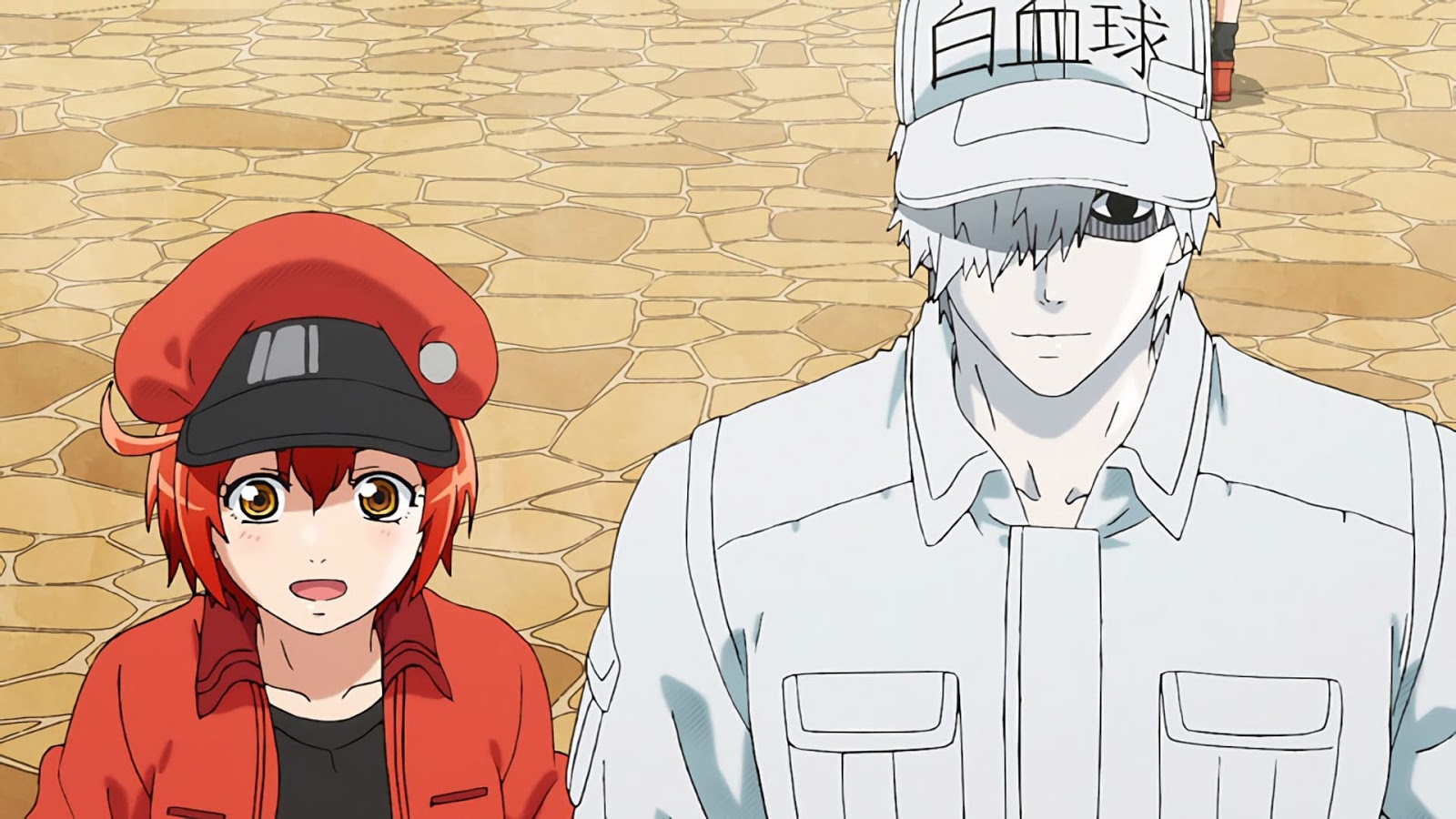 2 TEMPORADA DE HATARAKU SAIBOU? 