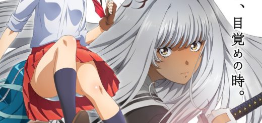 Shin Ikki Tousen: Animê estreia em maio