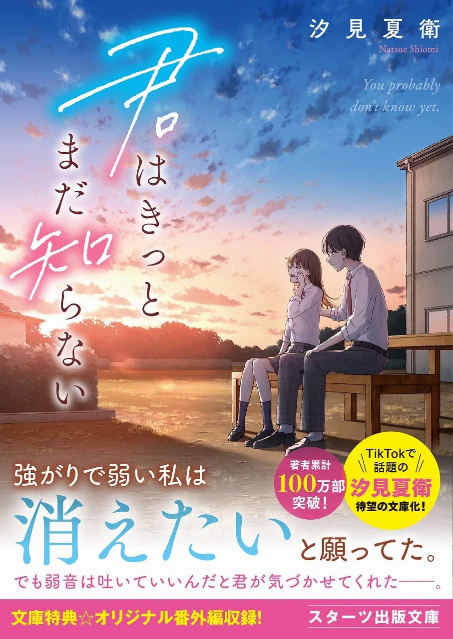 Kimi no Na Wa